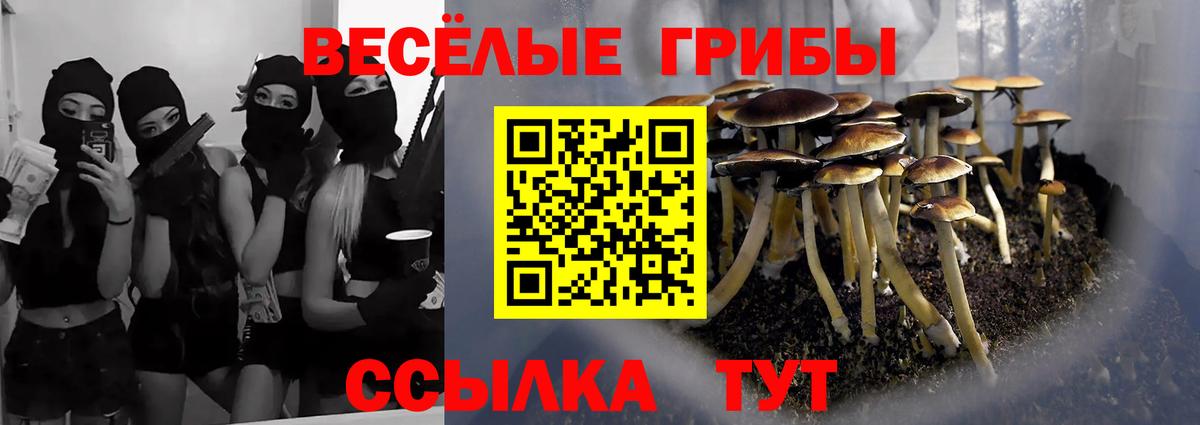 Псилоцибиновые грибы Psilocybine cubensis Александров