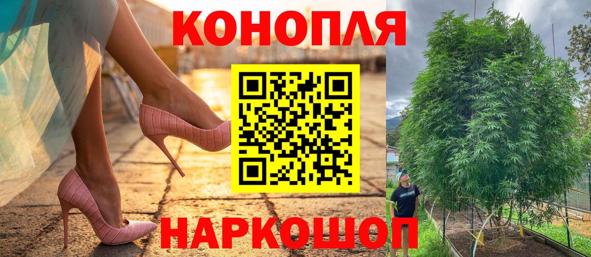 Бошки Шишки планчик Александров